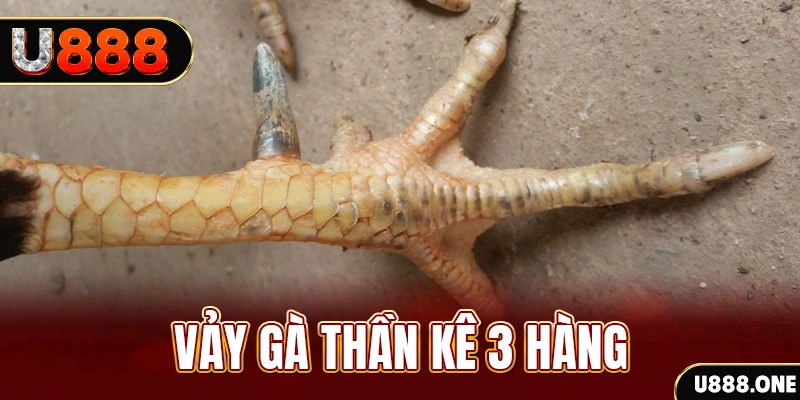 s666 plus nổ hũ đổi thưởng . ai