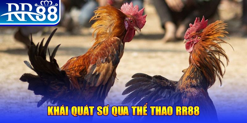 s666 plus baccarat bịp như thế nào