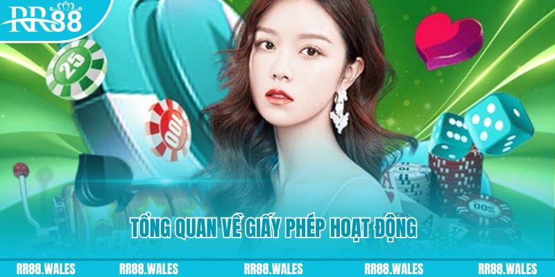 s666 plus kết quả xổ số kiến thiết miền bắc