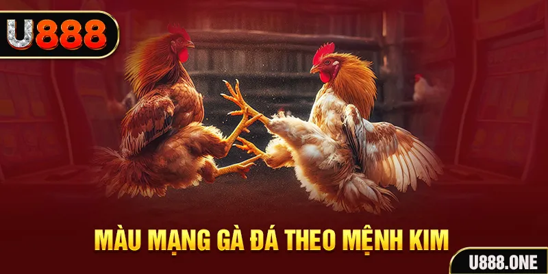 s666 plus gà chọi tiêu phong