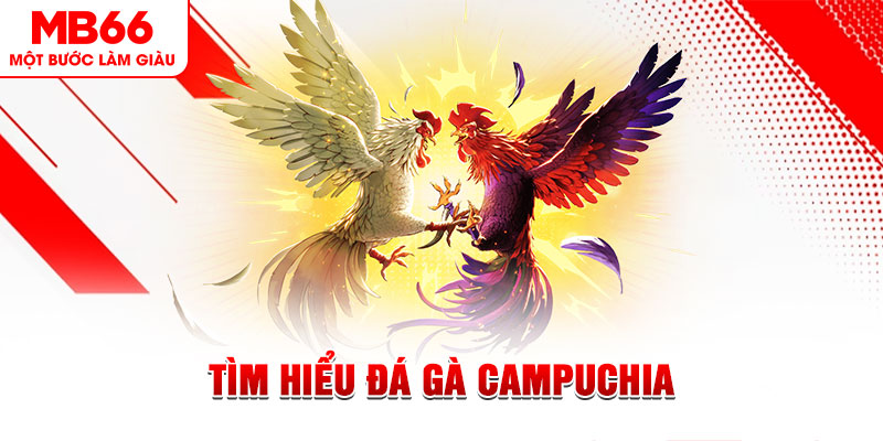 s666 plus tại sao không tải được nổ hũ