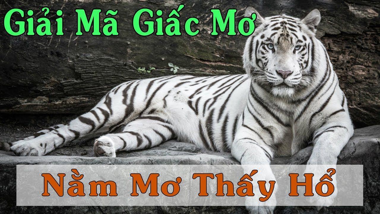s666 plus xổ số miền trung