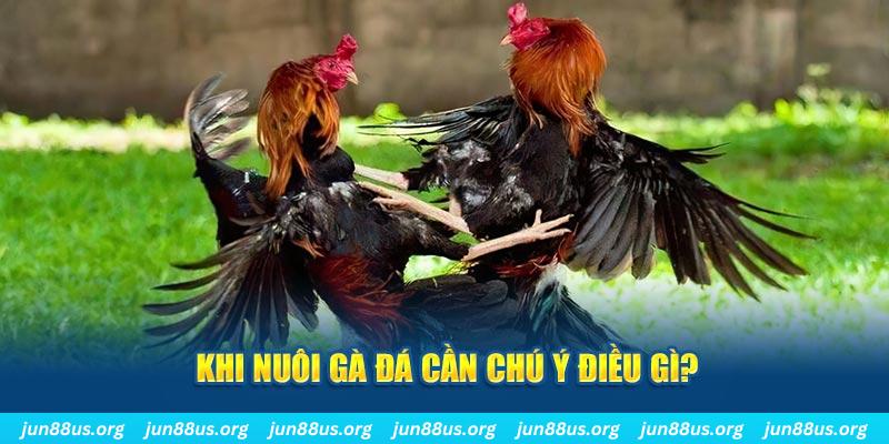 s666 plus ban ca vip online