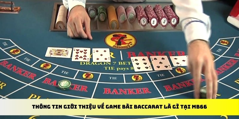 s666 plus xổ số trực tiếp miền bắc