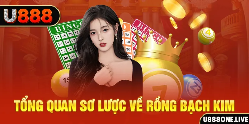 s666 plus how to win at slot machines