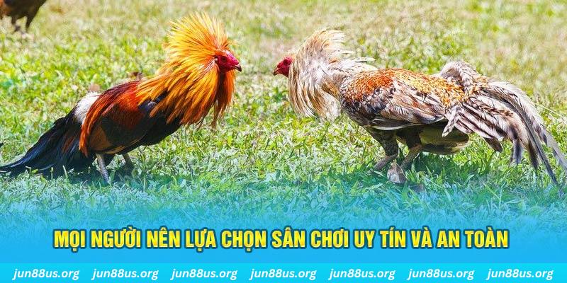 s666 plus khi nào thì nổ hũ tài xỉu