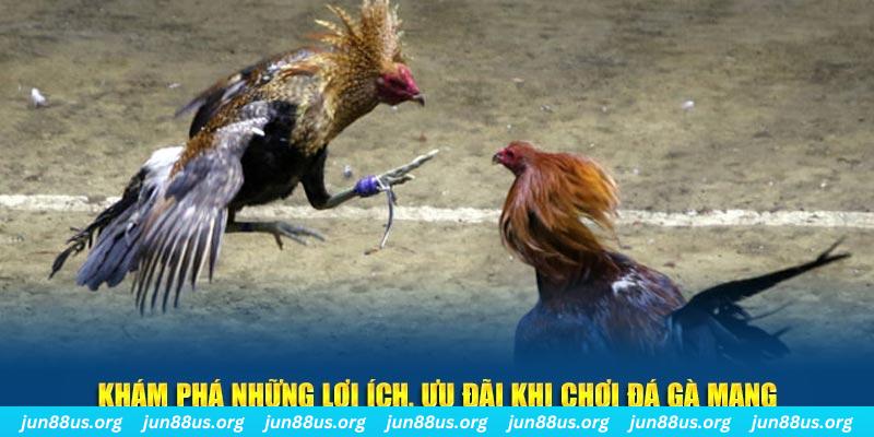 s666 plus Tài Xỉu 2