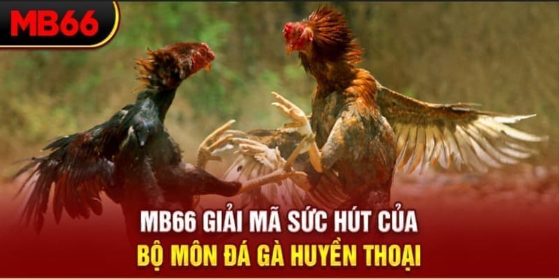 s666 plus long bảo trong baccarat là gì