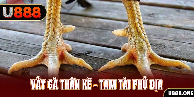 s666 plus xổ số 30 ngày