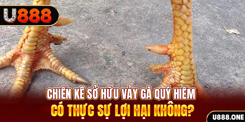 s666 plus game cá cược máy bay