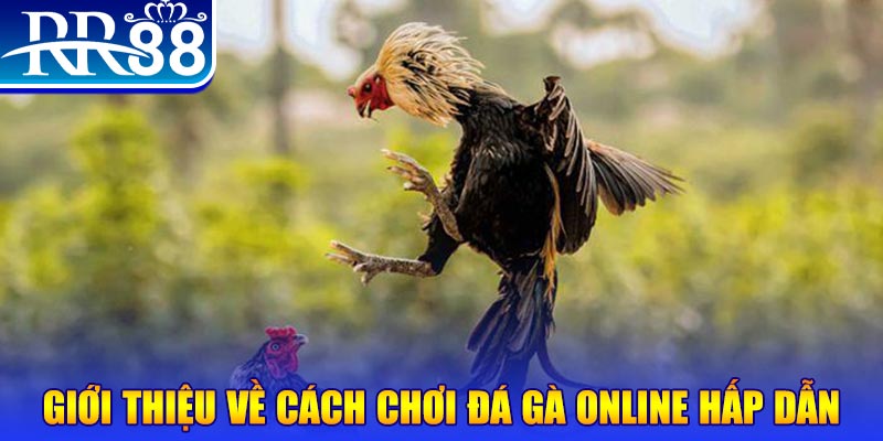 s666 plus nổ hũ 2 mặt là gì