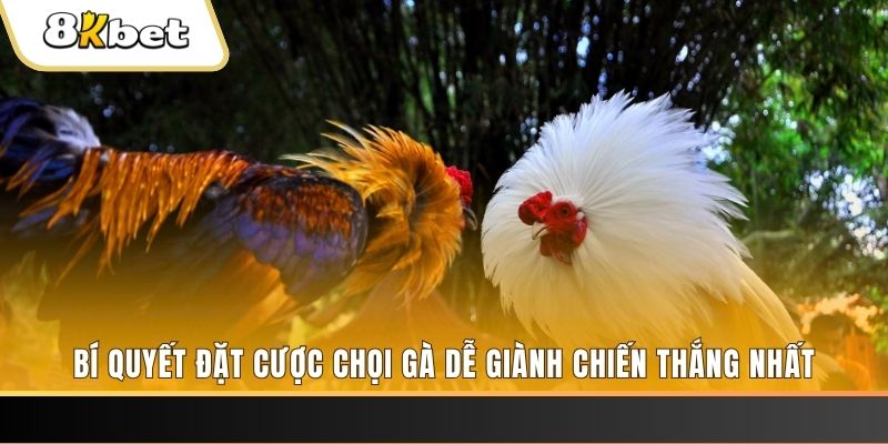 s666 plus may club nổ hũ