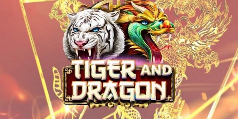 s666 plus cá cược tiếng anh là gì